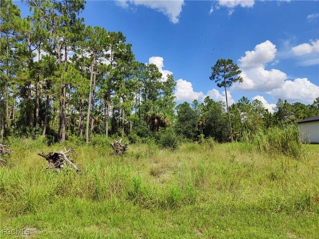 $21,000 | 2120 Mc Arthur Avenue, Alva, FL 33920