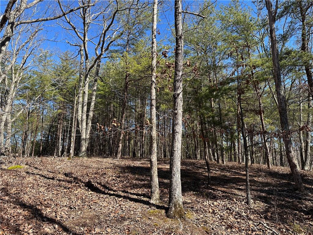 3472 Prior Station Road Cedartown, GA 30125 - Photo 11 of 72