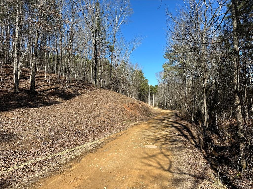 3472 Prior Station Road Cedartown, GA 30125 - Photo 12 of 72