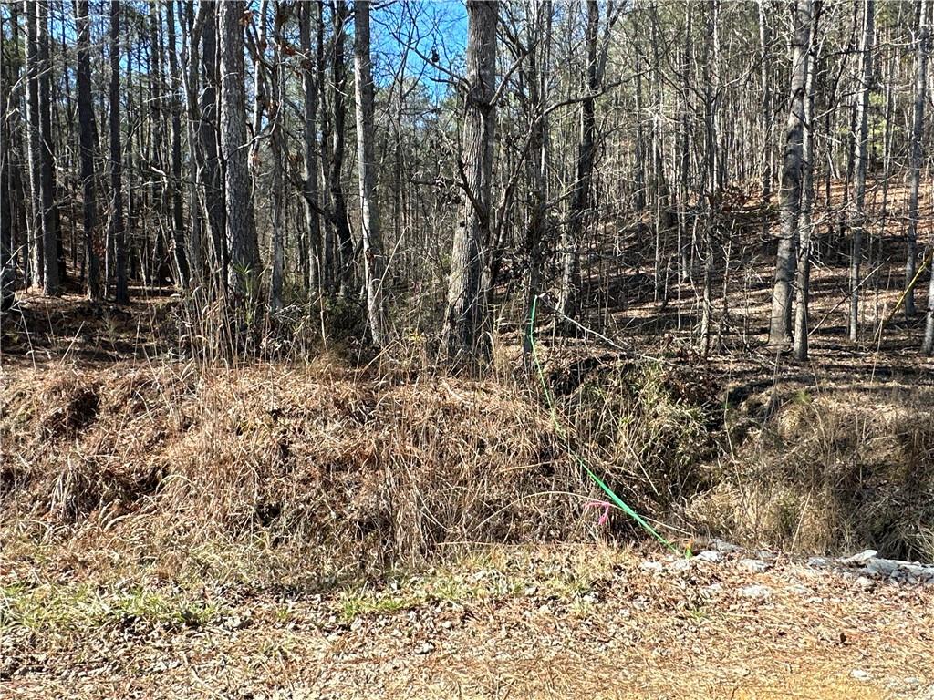 3472 Prior Station Road Cedartown, GA 30125 - Photo 17 of 72