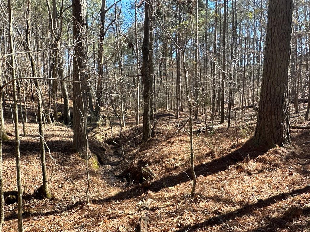 3472 Prior Station Road Cedartown, GA 30125 - Photo 21 of 72