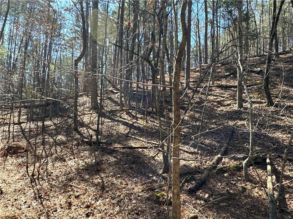 3472 Prior Station Road Cedartown, GA 30125 - Photo 24 of 72