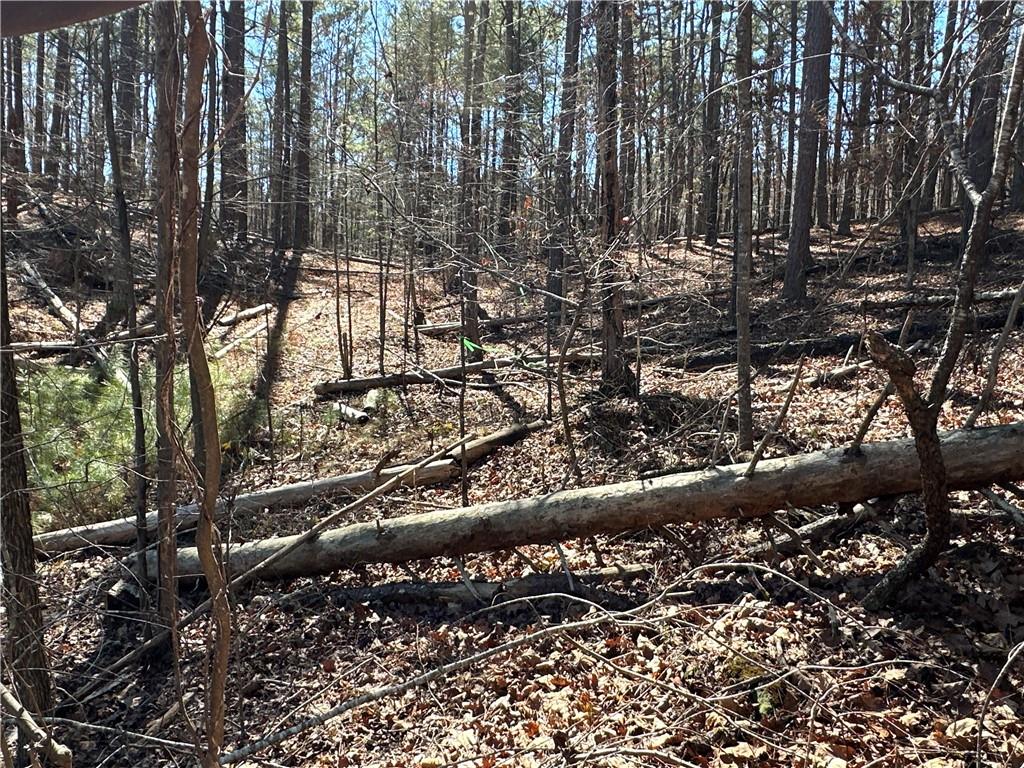 3472 Prior Station Road Cedartown, GA 30125 - Photo 26 of 72
