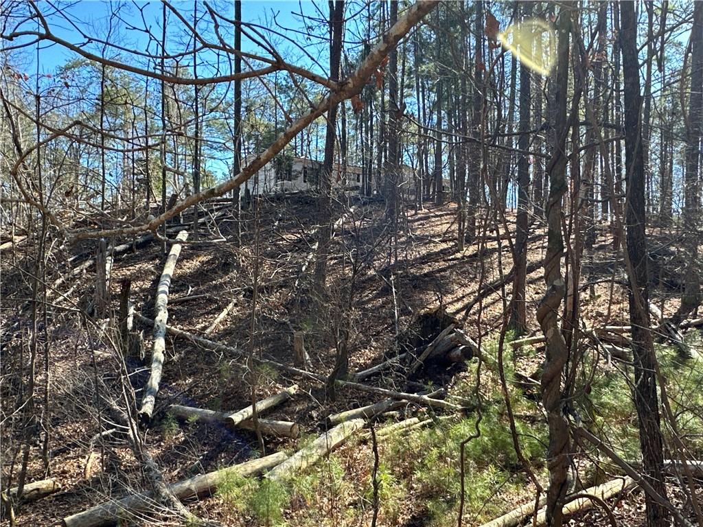 3472 Prior Station Road Cedartown, GA 30125 - Photo 27 of 72