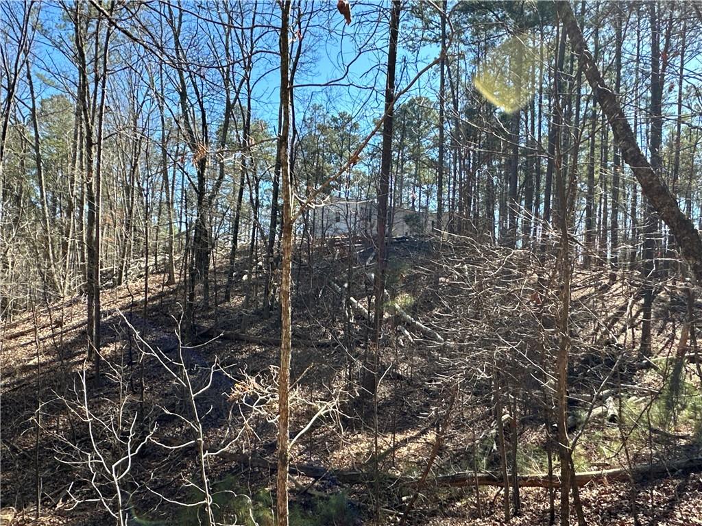 3472 Prior Station Road Cedartown, GA 30125 - Photo 29 of 72