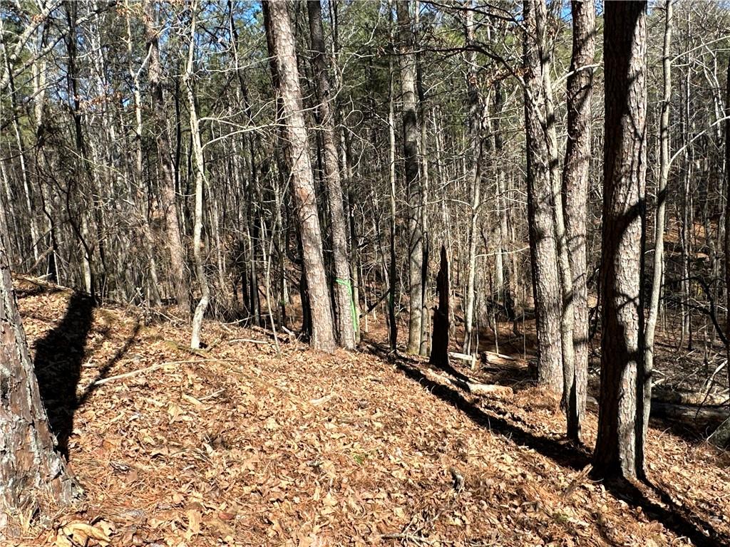 3472 Prior Station Road Cedartown, GA 30125 - Photo 32 of 72