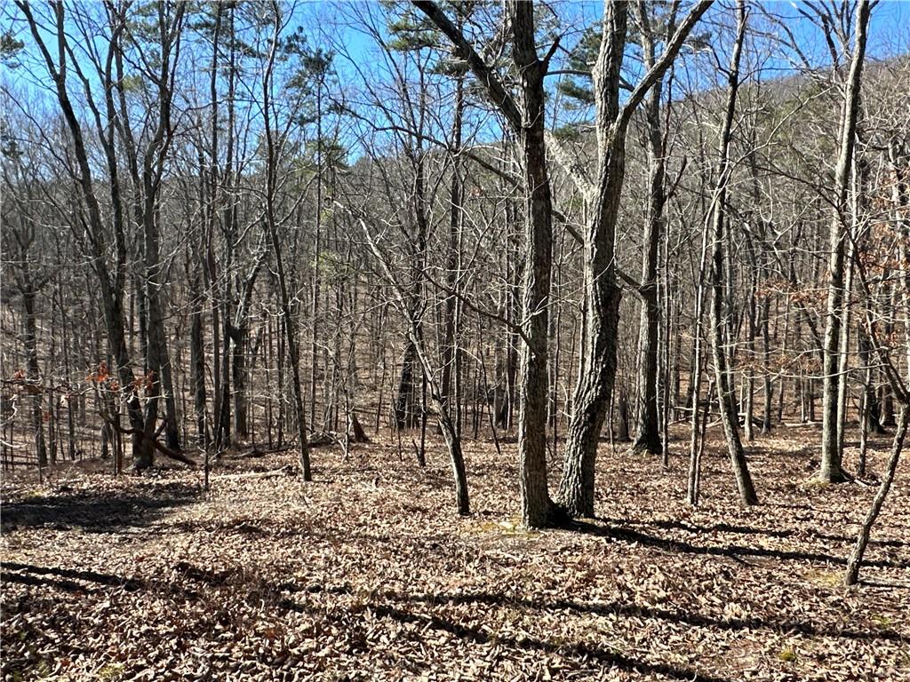 3472 Prior Station Road Cedartown, GA 30125 - Photo 33 of 72