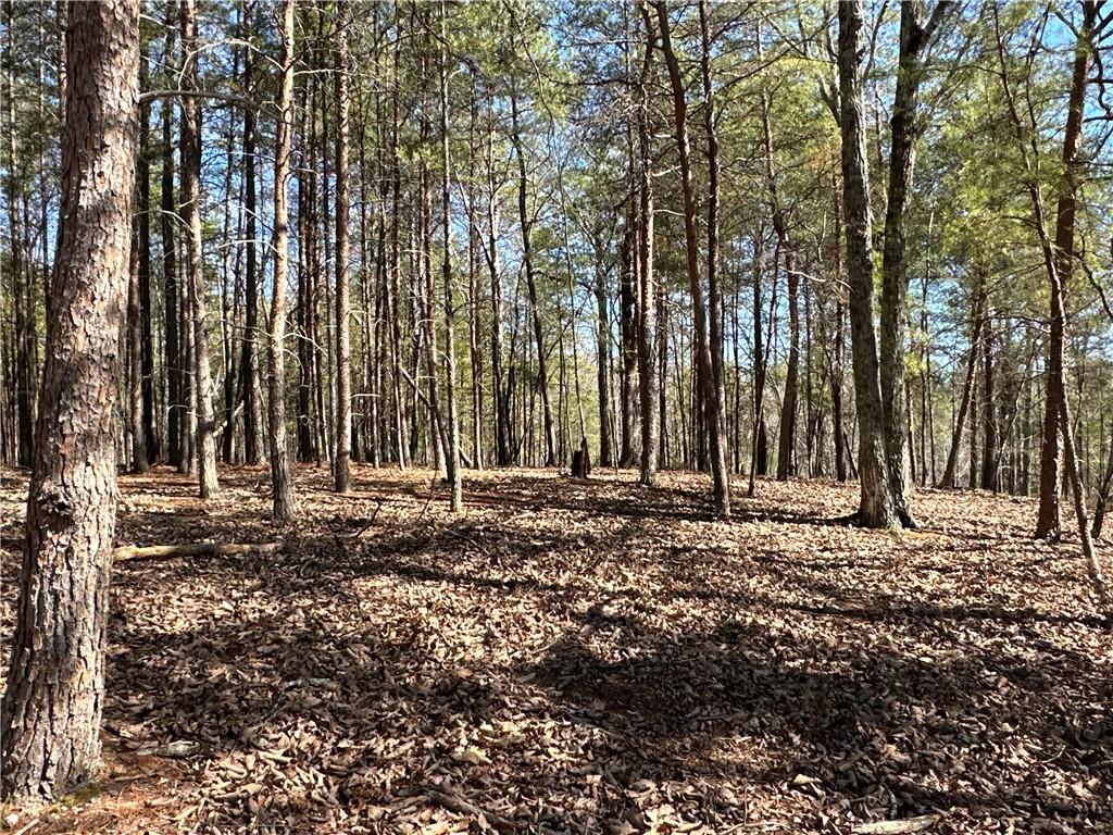 3472 Prior Station Road Cedartown, GA 30125 - Photo 34 of 72