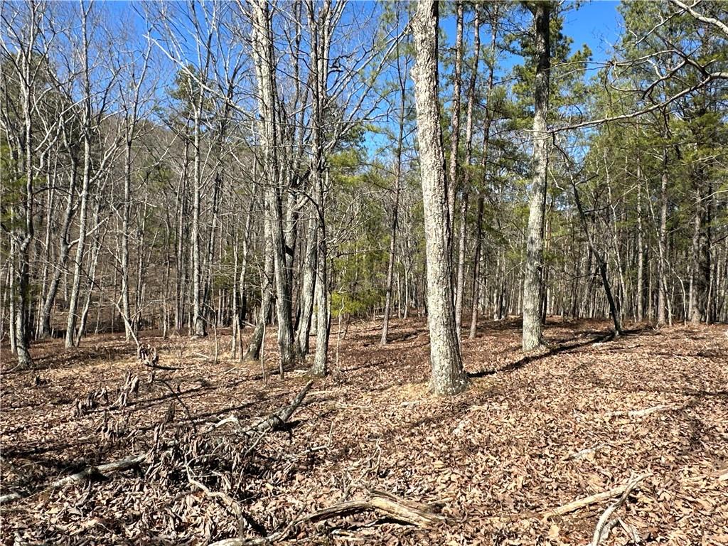 3472 Prior Station Road Cedartown, GA 30125 - Photo 36 of 72