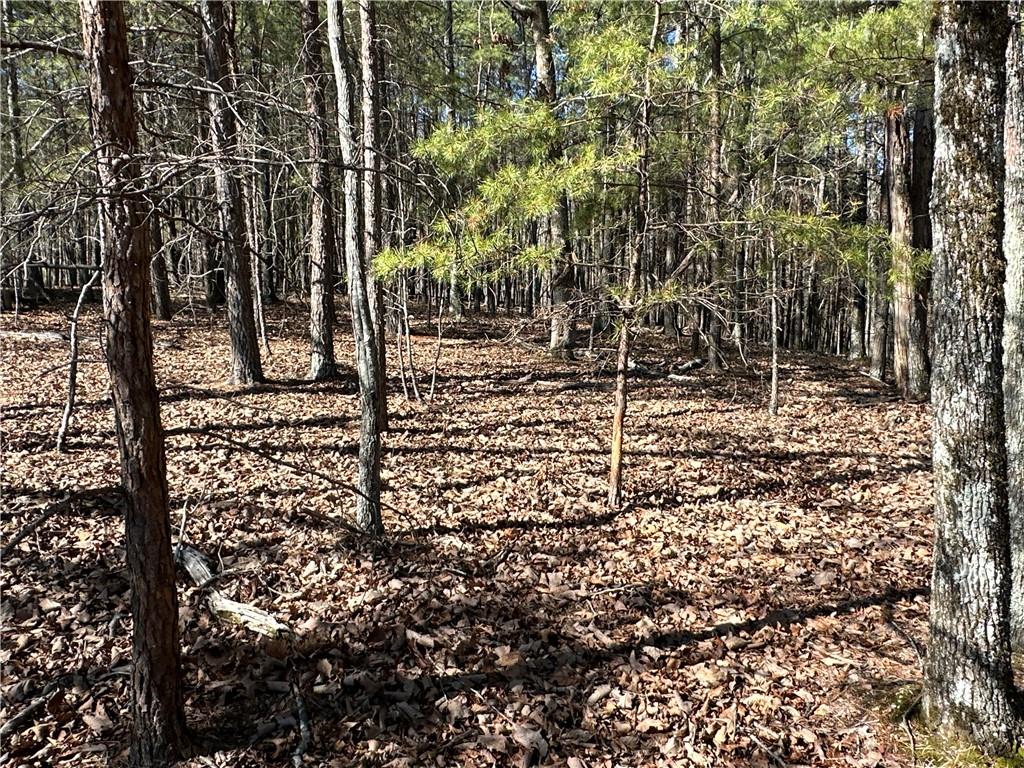 3472 Prior Station Road Cedartown, GA 30125 - Photo 38 of 72