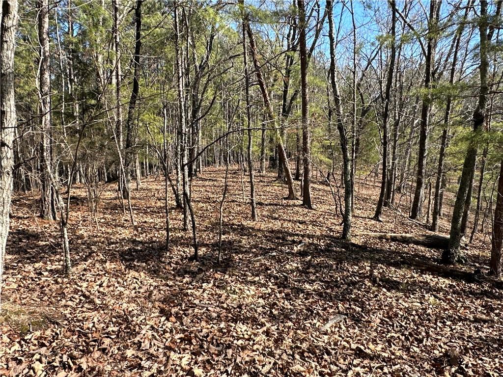 3472 Prior Station Road Cedartown, GA 30125 - Photo 39 of 72