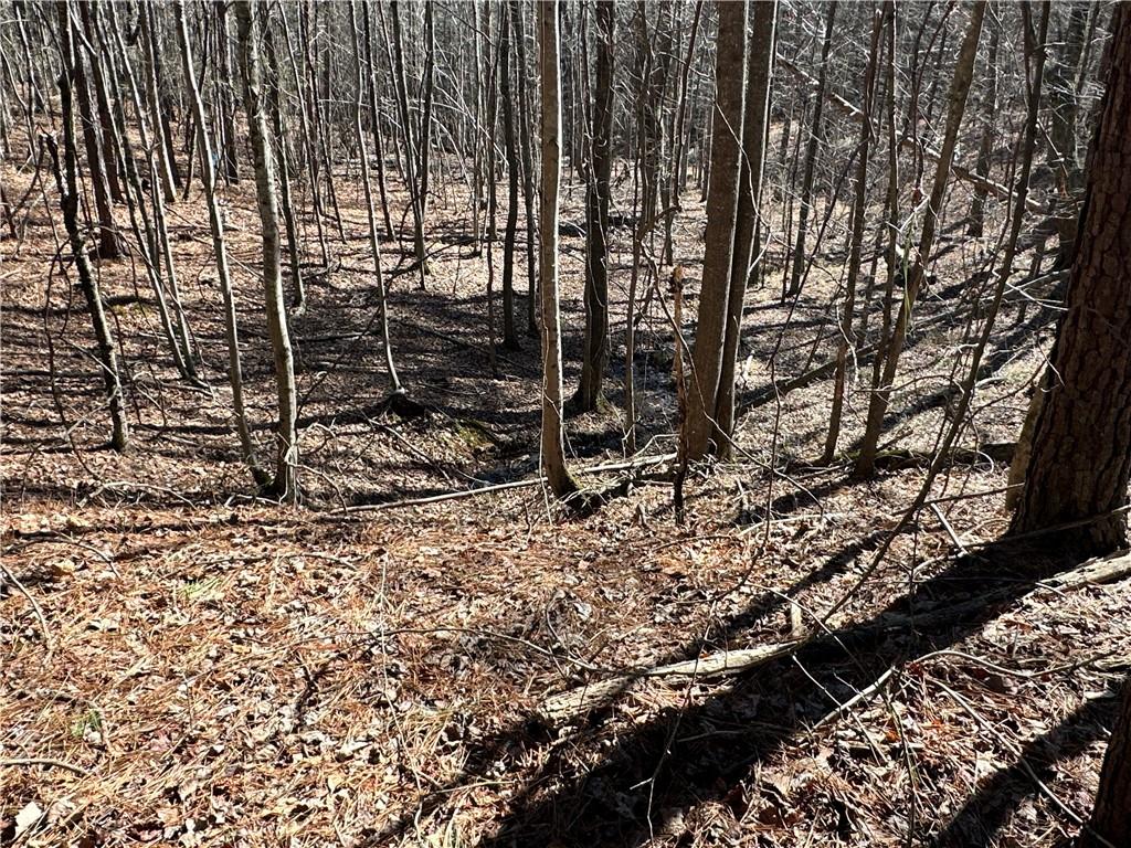 3472 Prior Station Road Cedartown, GA 30125 - Photo 44 of 72