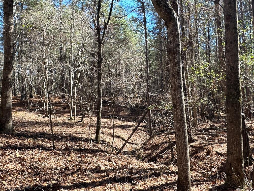 3472 Prior Station Road Cedartown, GA 30125 - Photo 45 of 72