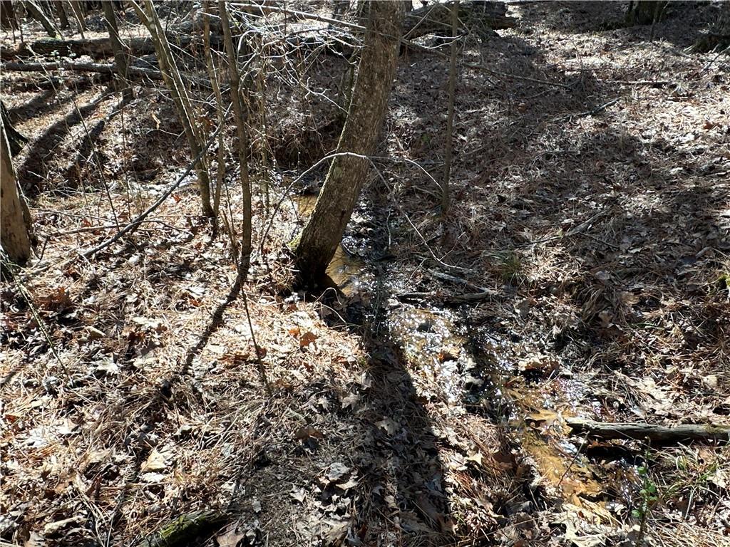 3472 Prior Station Road Cedartown, GA 30125 - Photo 46 of 72