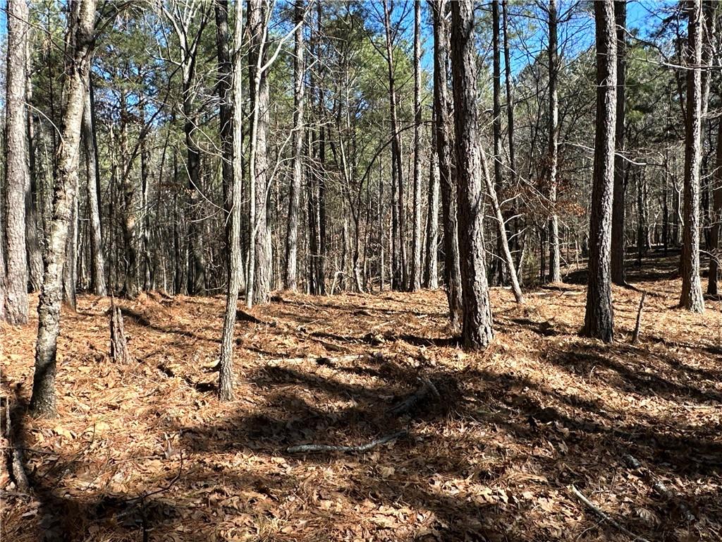 3472 Prior Station Road Cedartown, GA 30125 - Photo 51 of 72