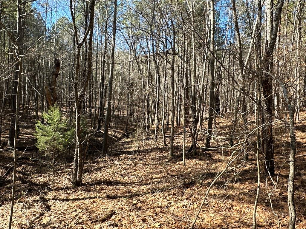 3472 Prior Station Road Cedartown, GA 30125 - Photo 54 of 72