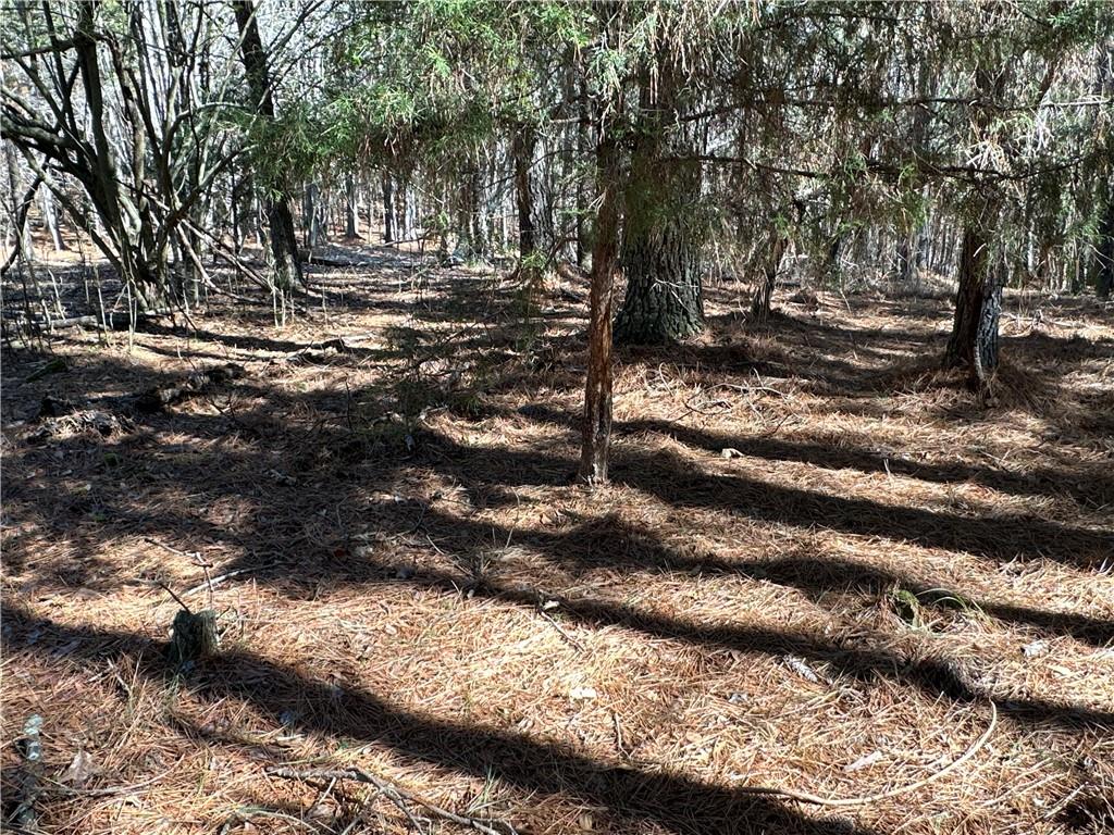 3472 Prior Station Road Cedartown, GA 30125 - Photo 58 of 72