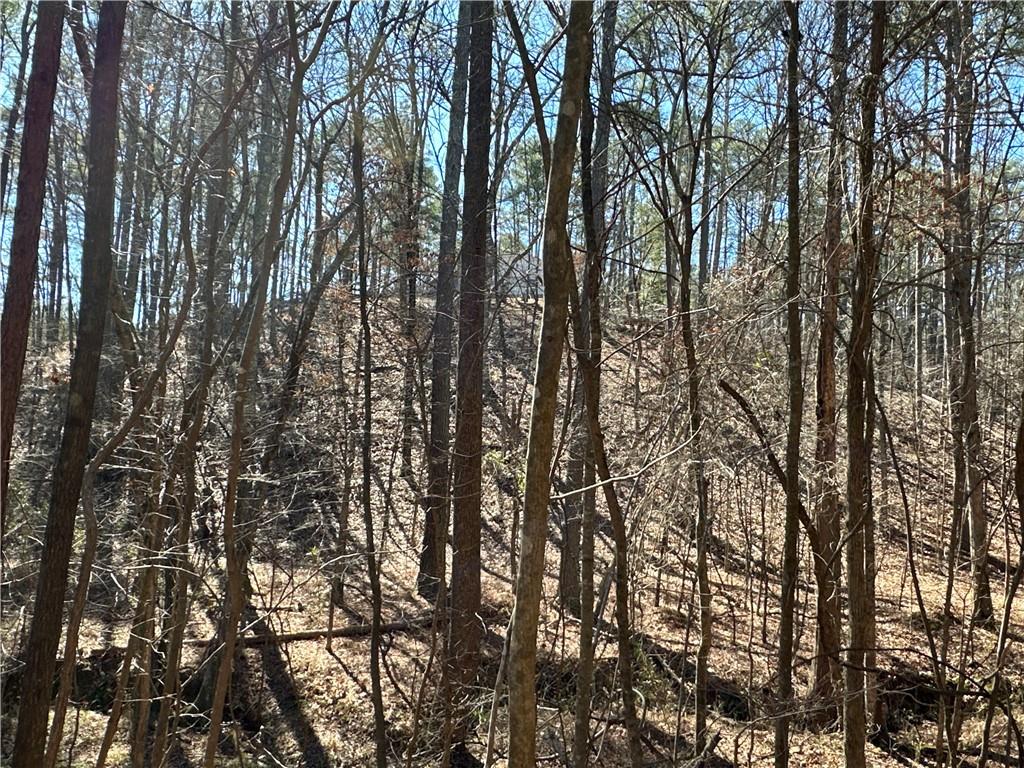 3472 Prior Station Road Cedartown, GA 30125 - Photo 64 of 72