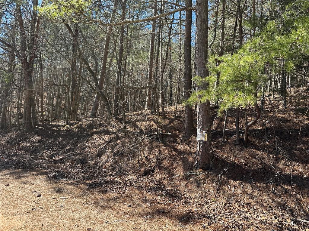3472 Prior Station Road Cedartown, GA 30125 - Photo 66 of 72
