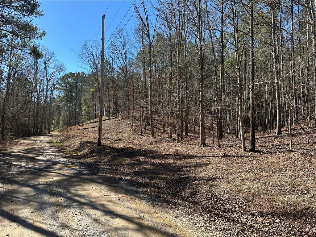 3472 Prior Station Road Cedartown, GA 30125 - Photo 69 of 72