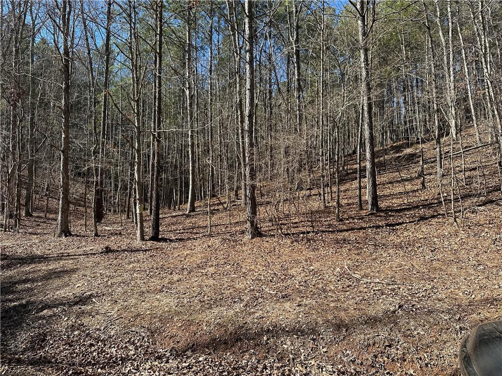 3472 Prior Station Road Cedartown, GA 30125 - Photo 70 of 72
