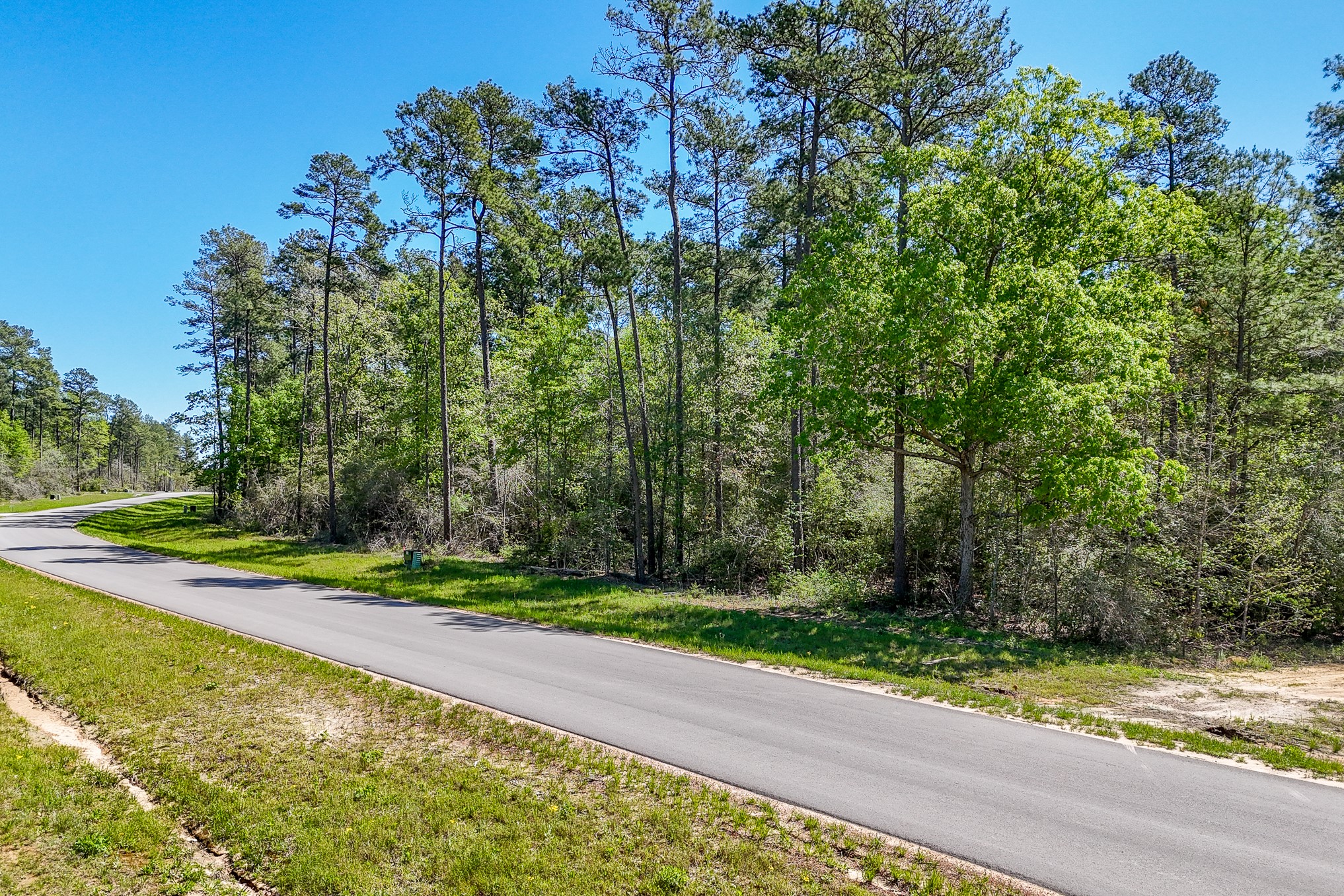 15866 Four Hls Road Willis, TX 77378 - Photo 17 of 33