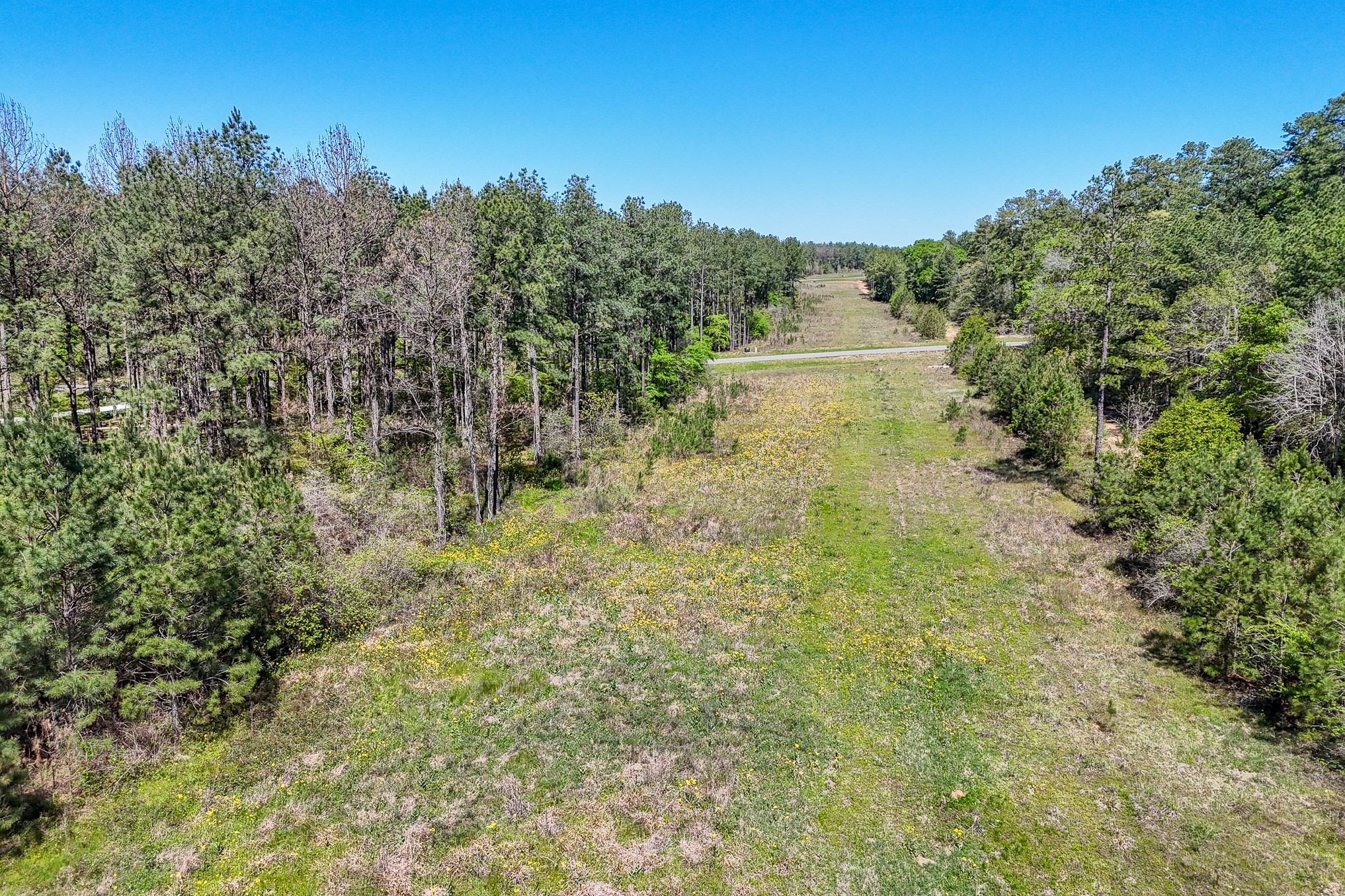 15866 Four Hls Road Willis, TX 77378 - Photo 18 of 33