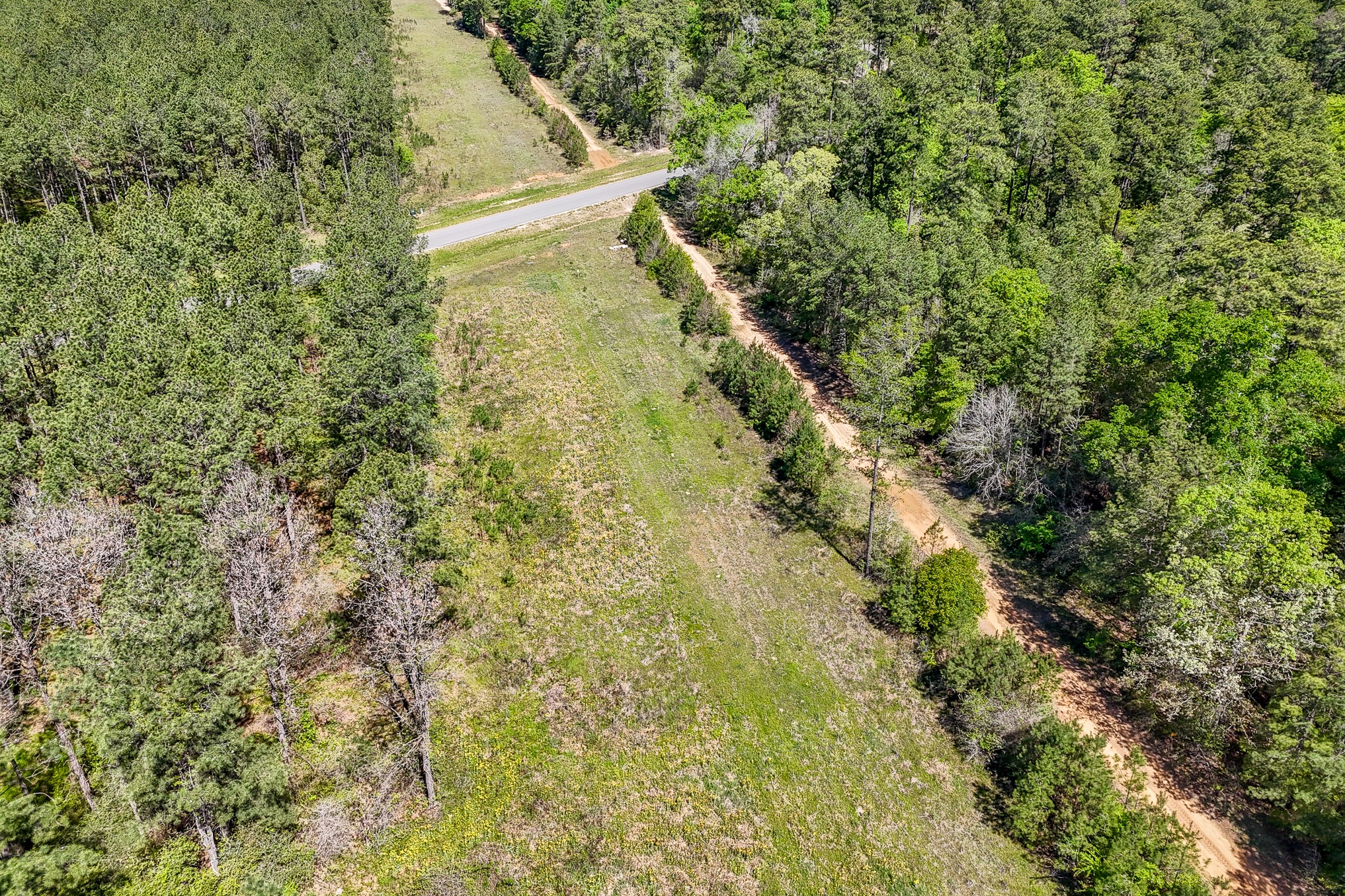 15866 Four Hls Road Willis, TX 77378 - Photo 19 of 33