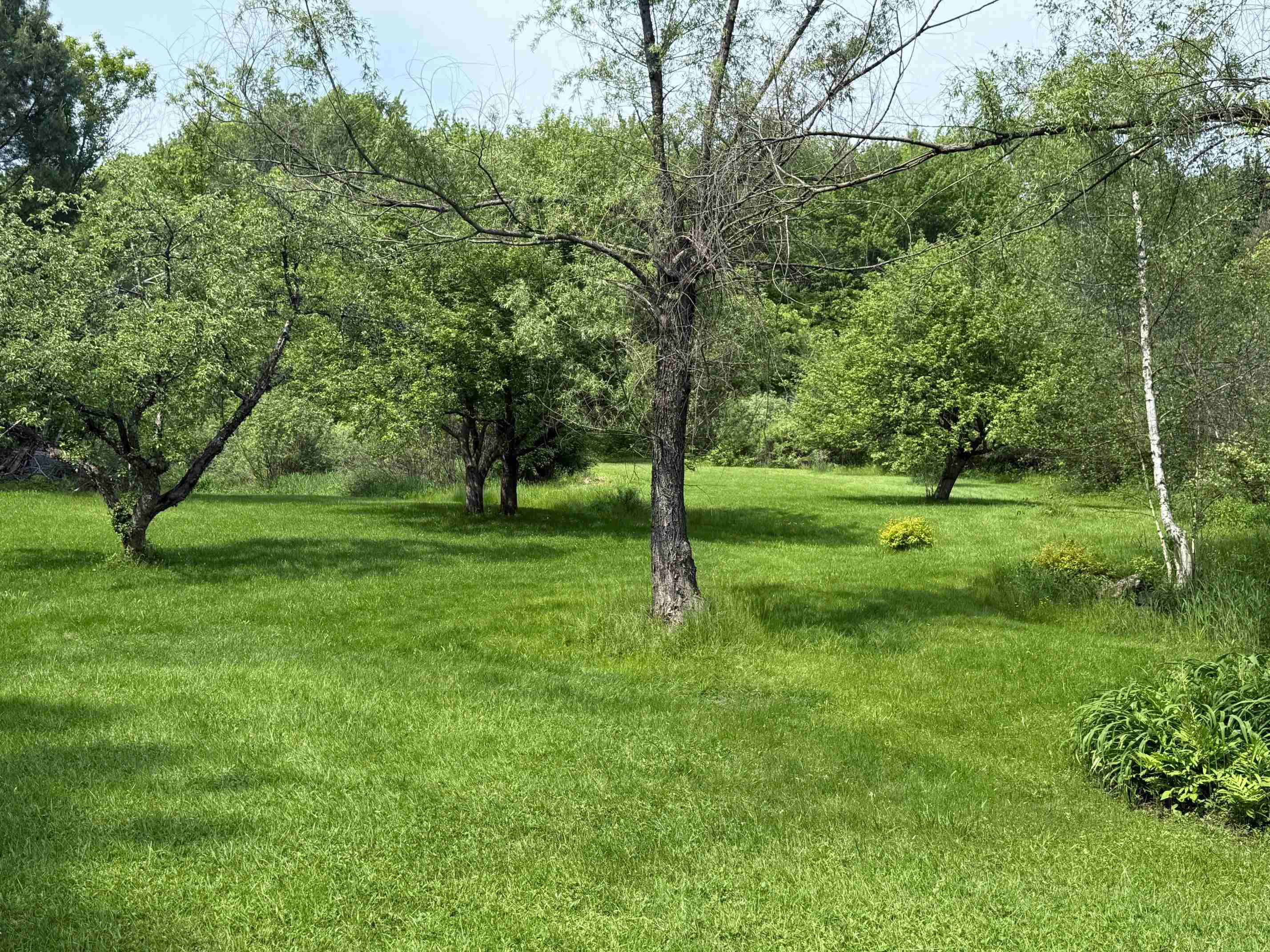 904 Moscow Road Stowe, VT 05672 - Photo 31 of 55