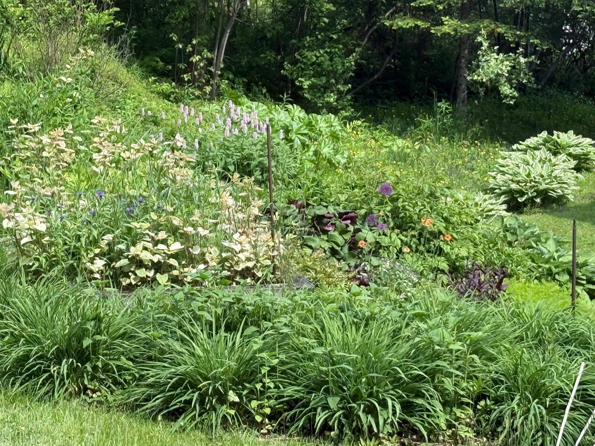 904 Moscow Road Stowe, VT 05672 - Photo 54 of 55