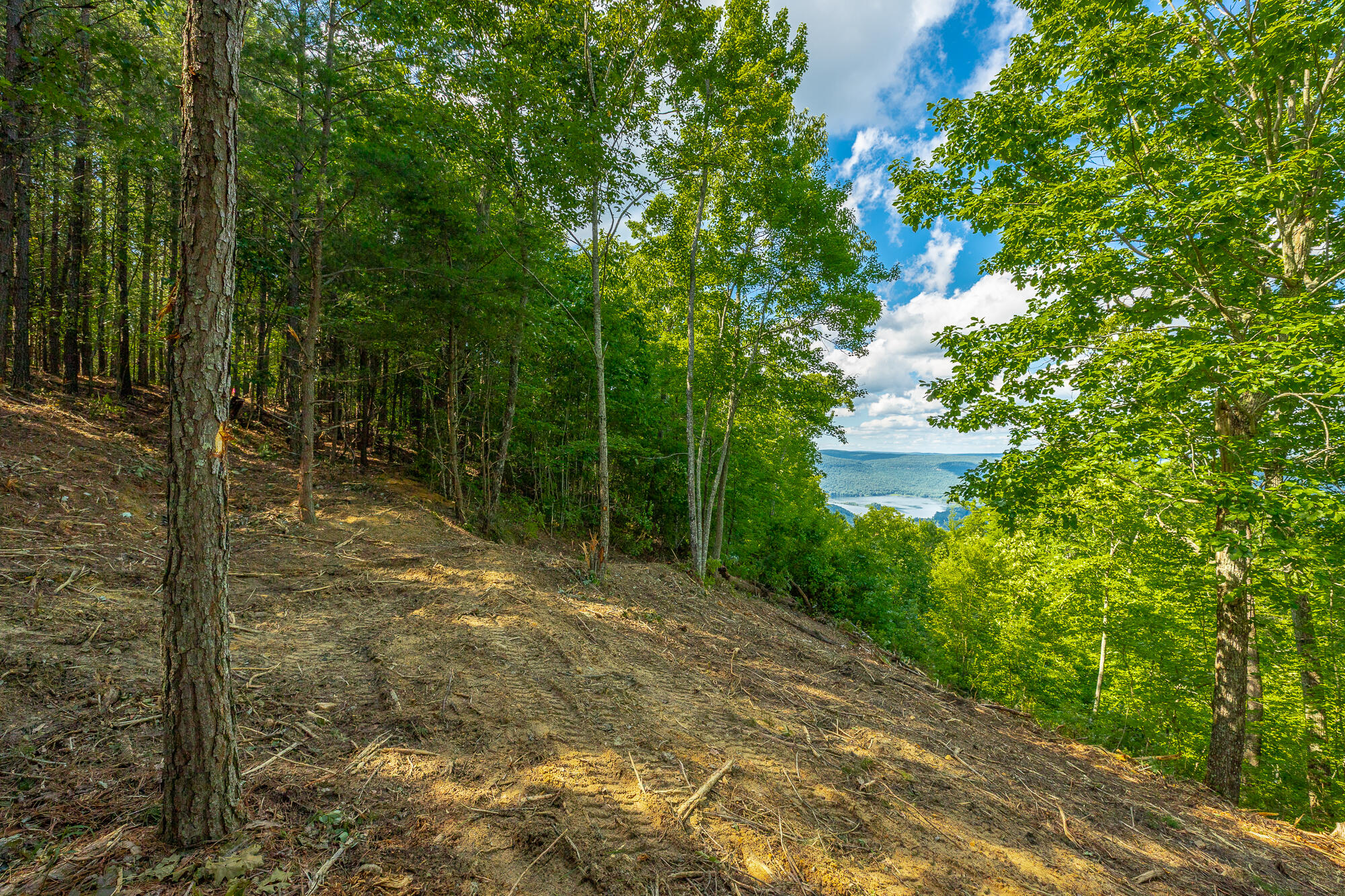 0 Back Basin Trail, Unit LOT 1244 Chattanooga, TN 37419 - Photo 12 of 119 MCW Correction HD-18