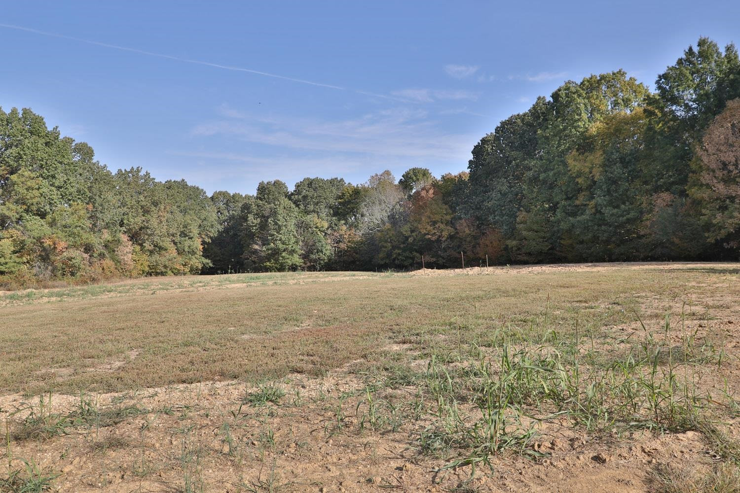 785 Concord Road Dresden, TN 38225 - Photo 11 of 15 Photo 11