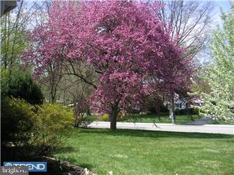 500 Paddock Road Ambler, PA 19002 - Photo 2 of 11 Gallery Image 2