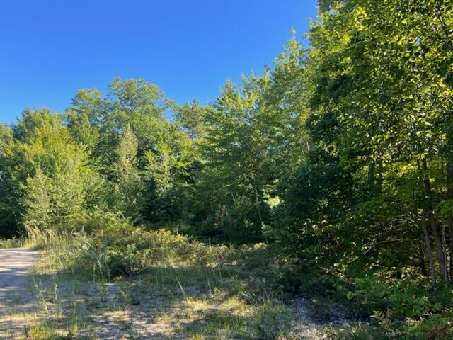 Lot 30-1a Middle Road Waterboro, ME 04087 - Photo 1 of 8 IMG_7181