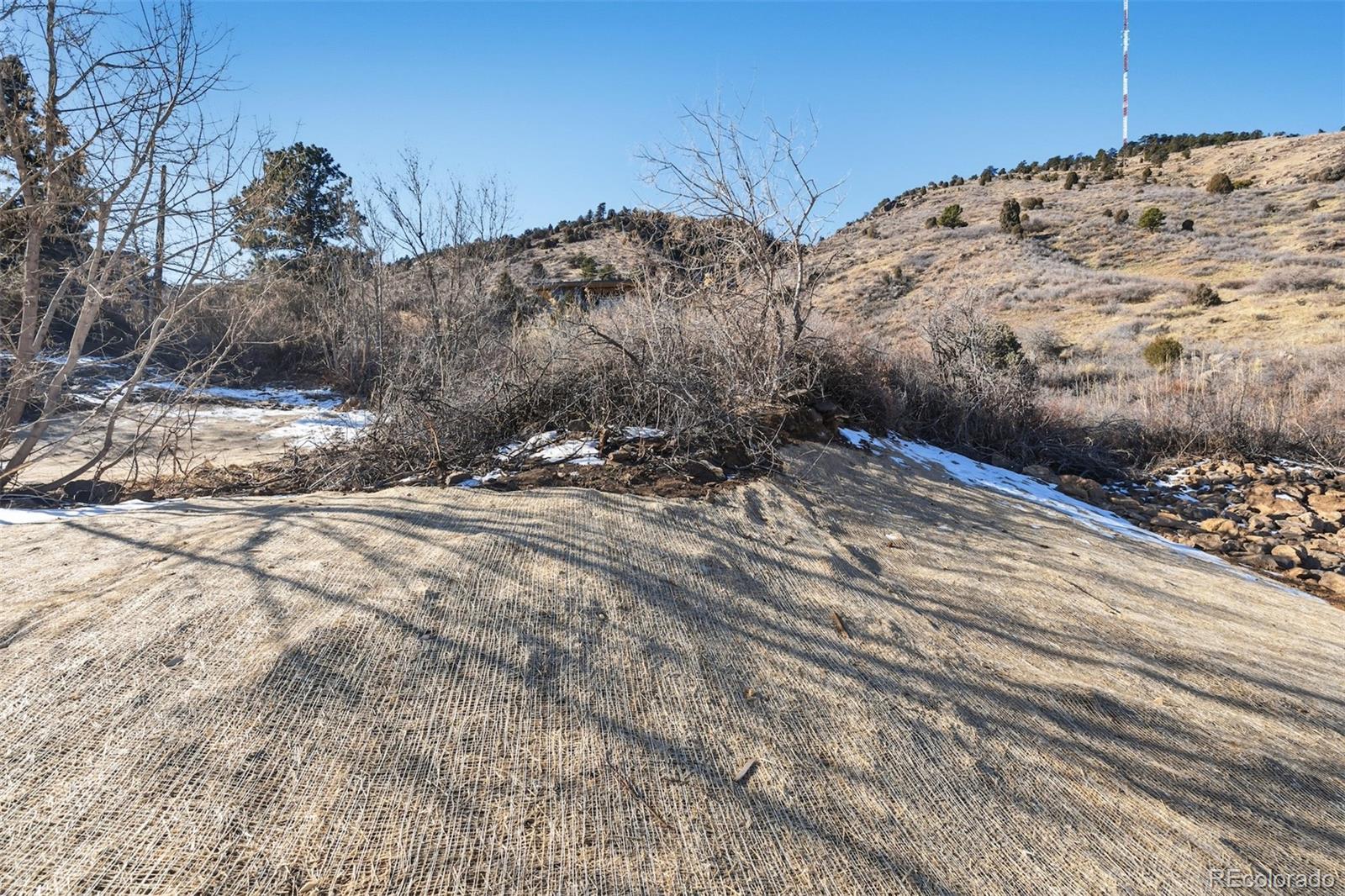 852 Shelton Road Golden, CO 80401 - Photo 4 of 16 a view of a dry yard with trees