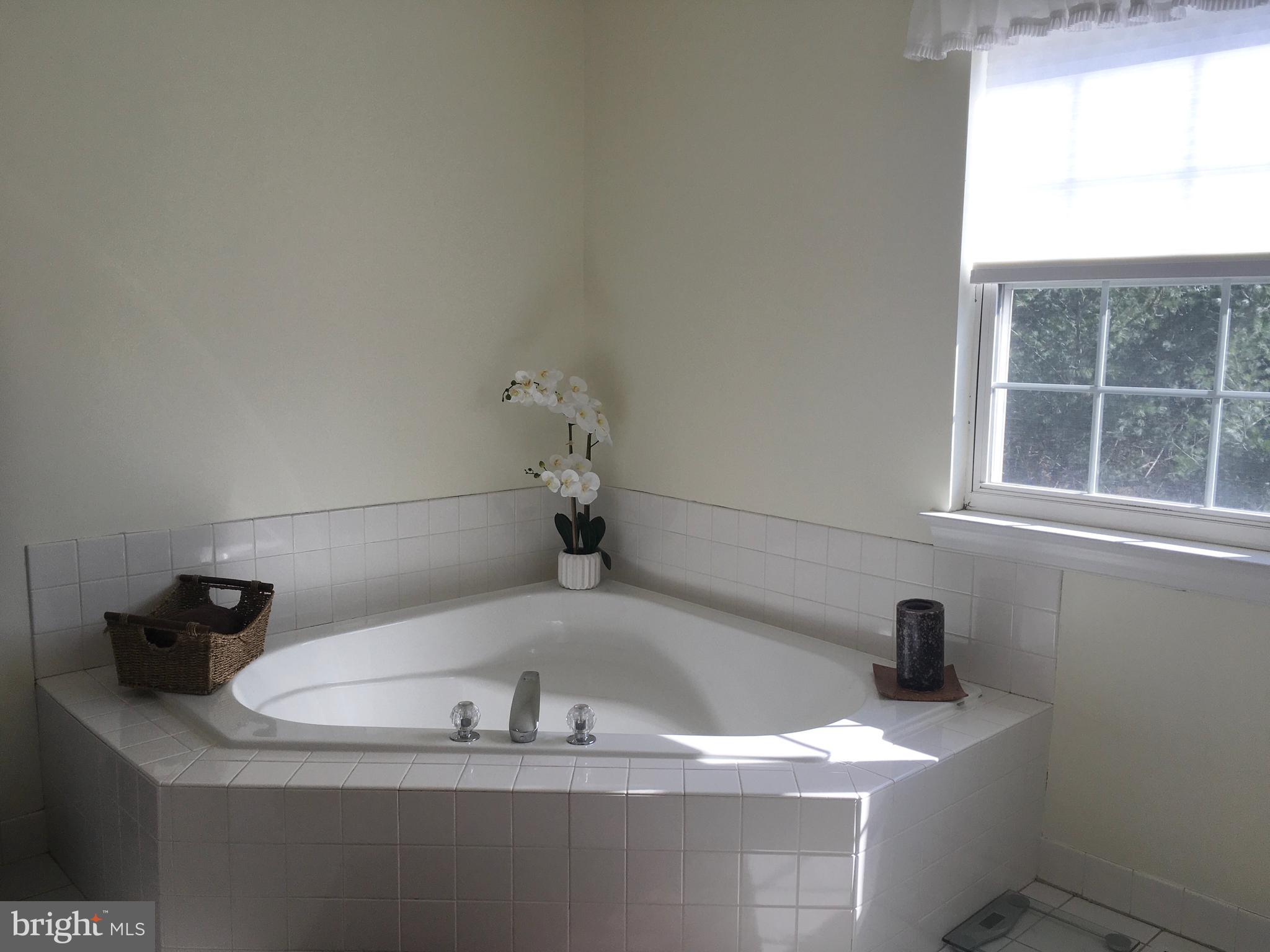 761 Kelli Lane Springfield, PA 19064 - Photo 30 of 54 Master Bathroom