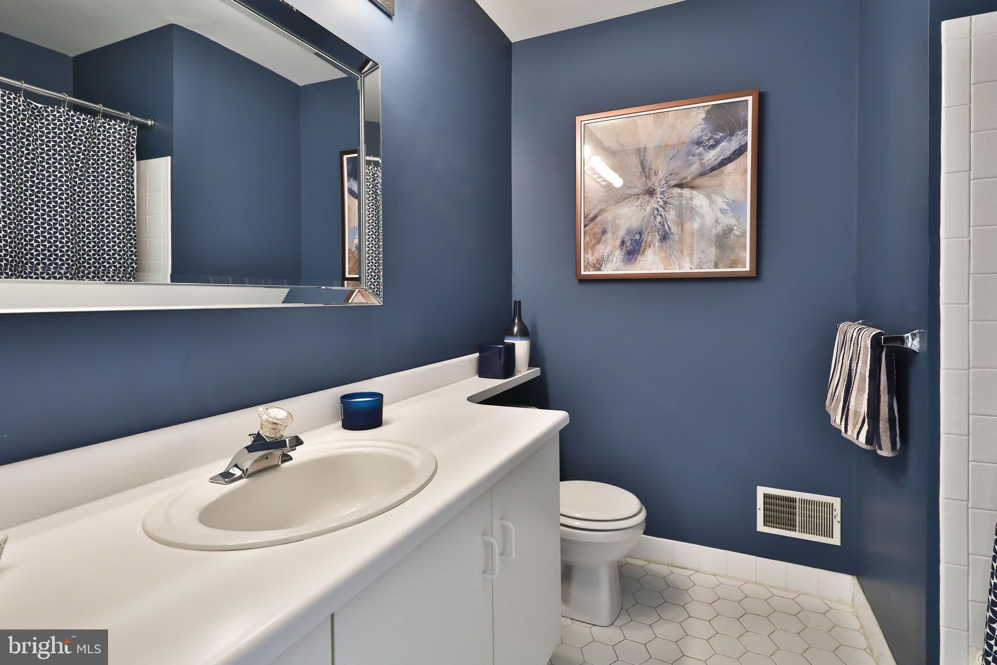 285 Militia Drive Wayne, PA 19087 - Photo 22 of 33 Hall Bathroom