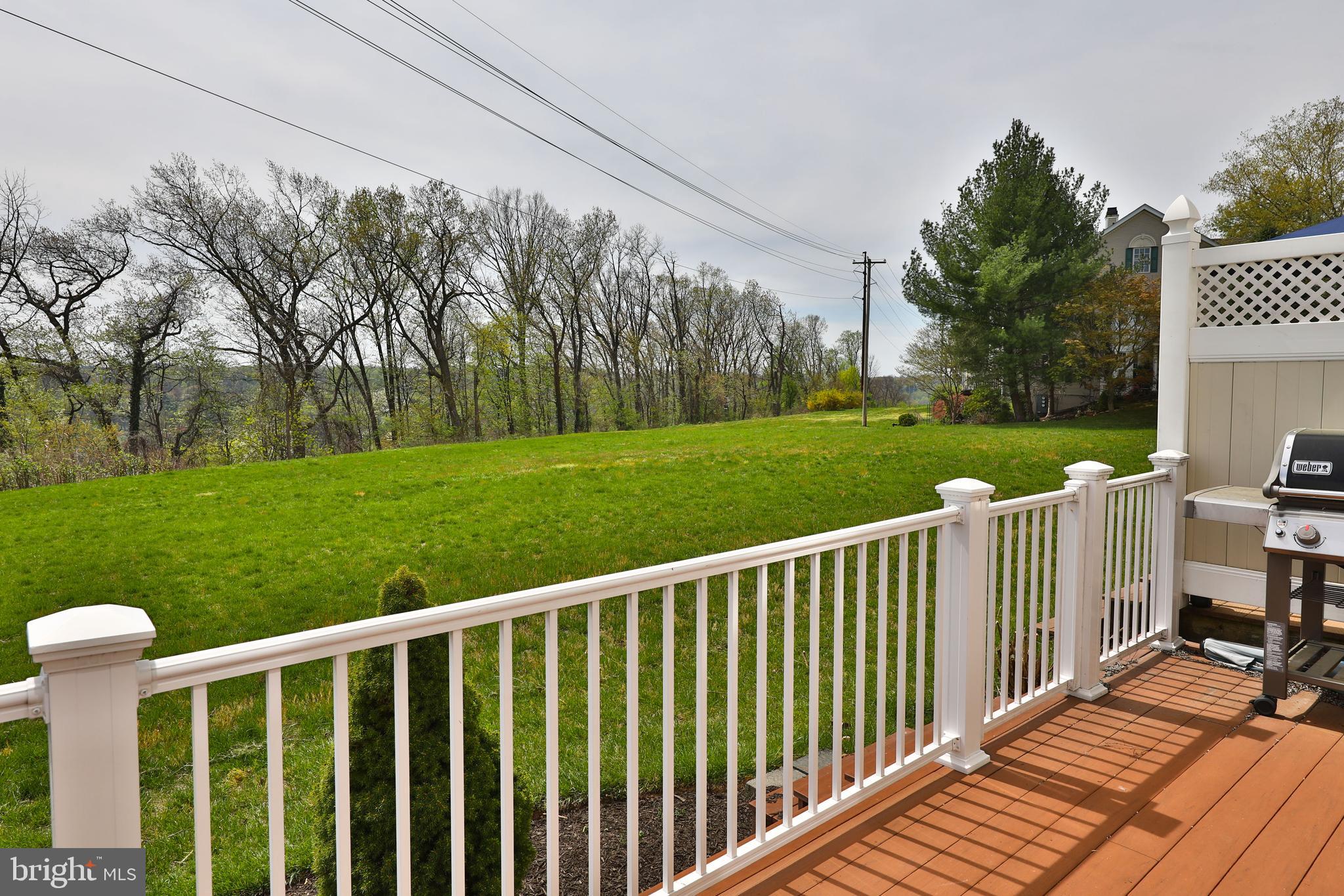 285 Militia Drive Wayne, PA 19087 - Photo 27 of 33 Rear Deck