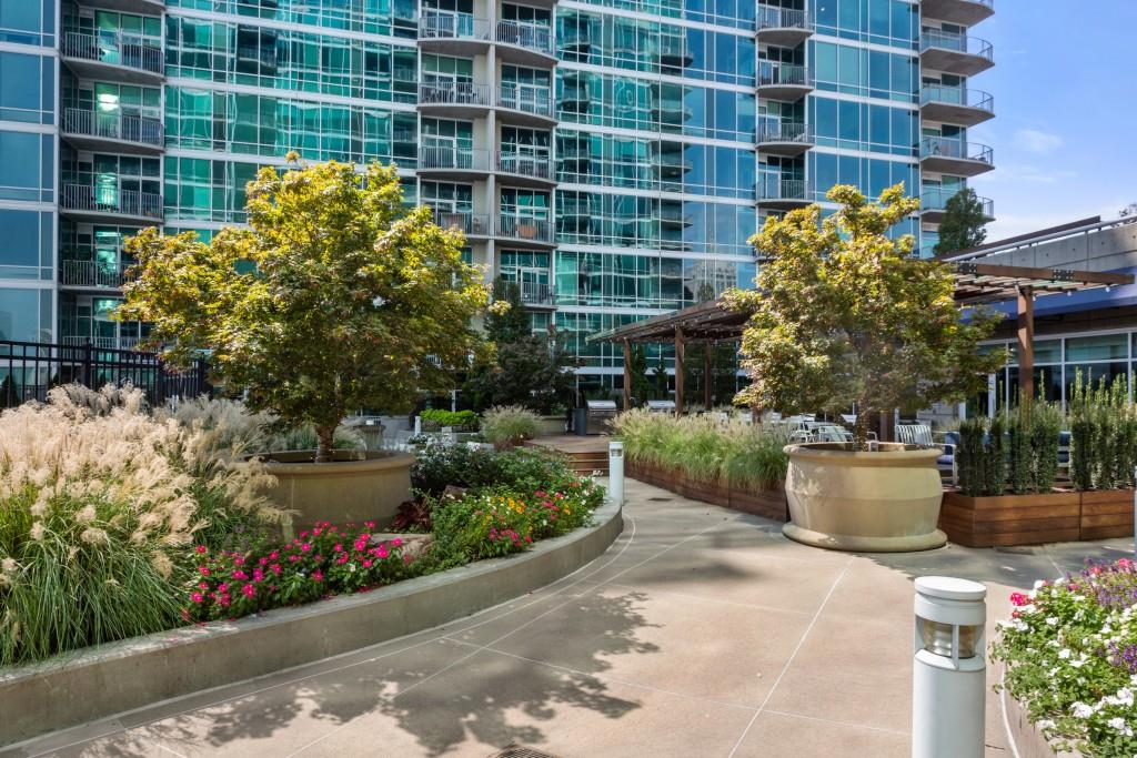 943 Peachtree Street Northeast, Unit 2009 Atlanta, GA 30309 - Photo 25 of 57 a view of a garden with plants and large trees