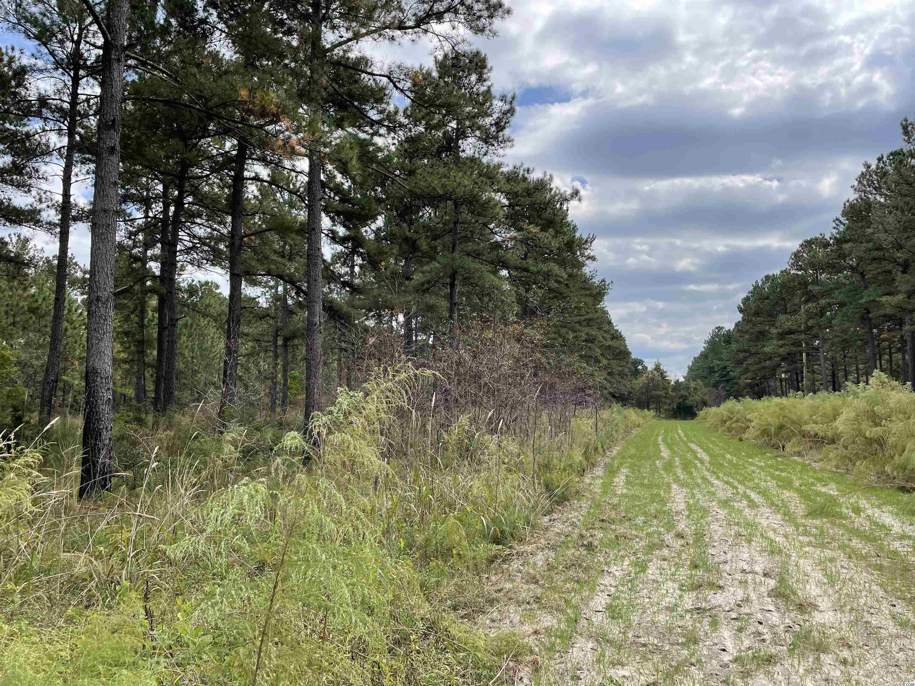250-ac Edwin Road Salters, SC 29590 - Photo 19 of 28