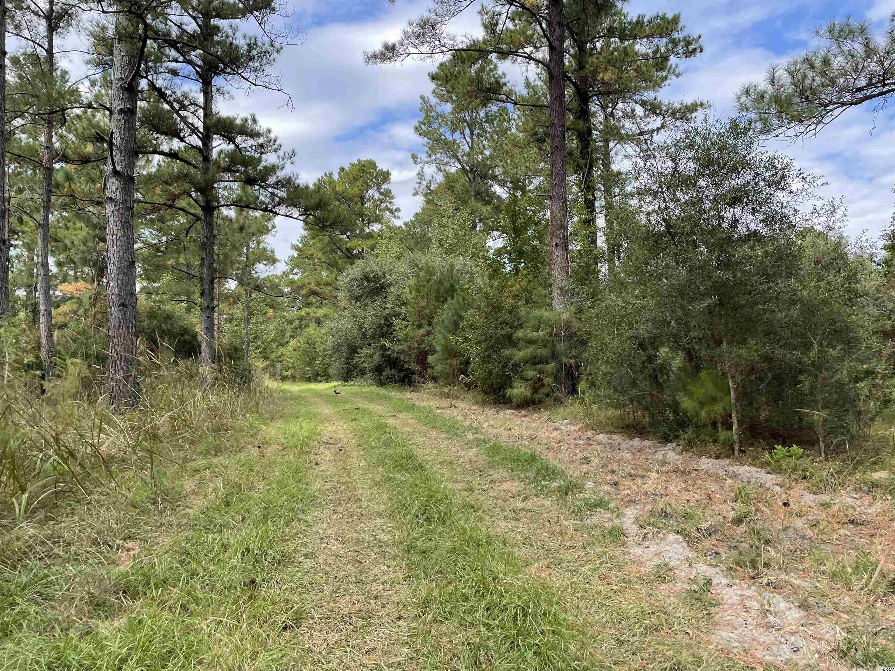 250-ac Edwin Road Salters, SC 29590 - Photo 8 of 28