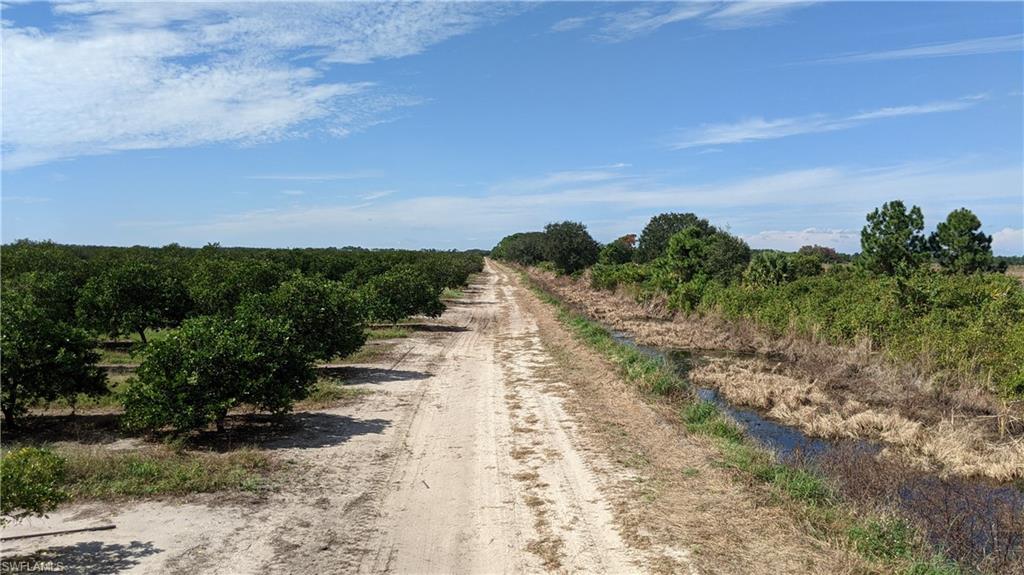 Lot 5 7th Road LaBelle, FL 33935 - Photo 5 of 13 a view of a yard with wooden fence