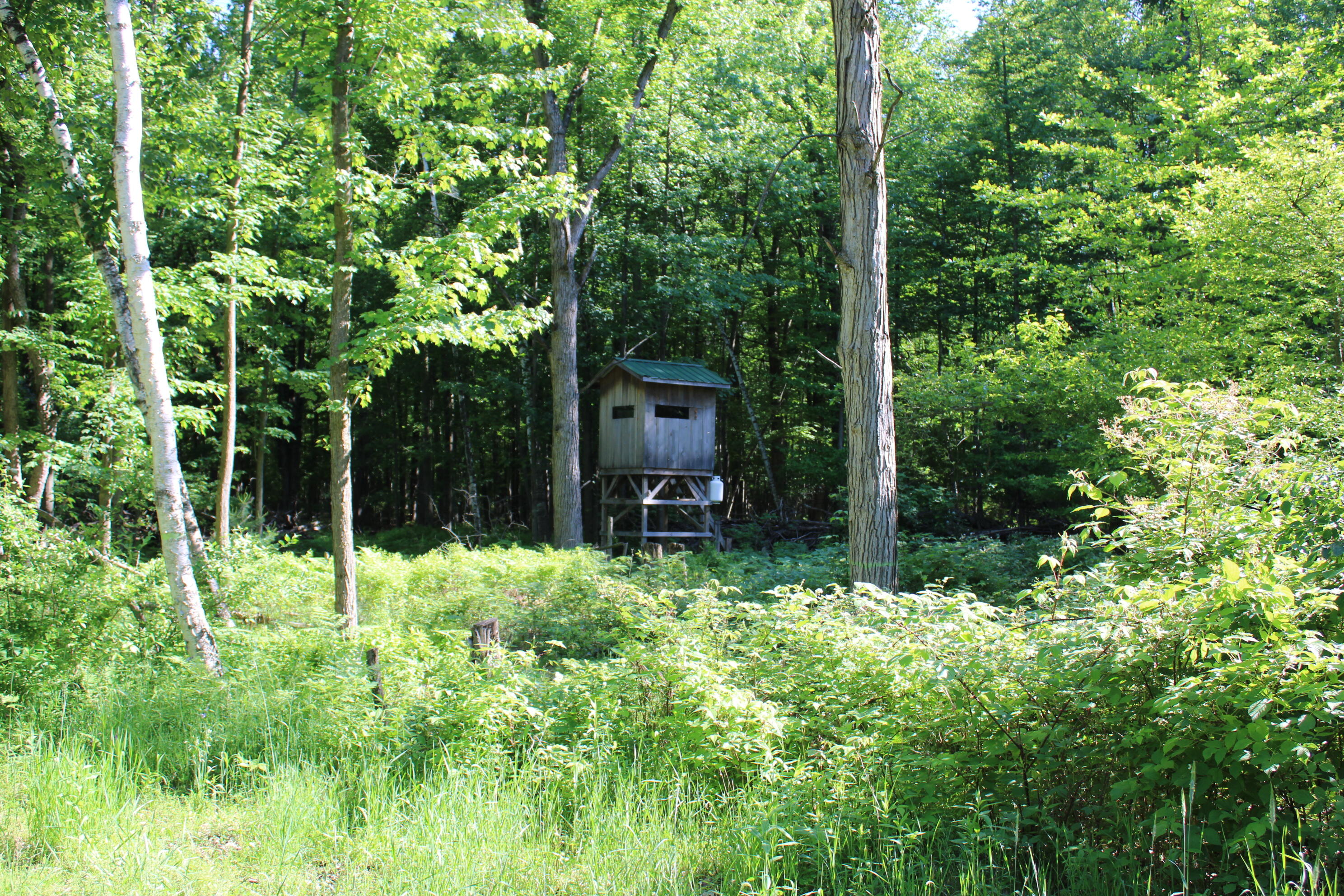 575 South Orr Road Hemlock, MI 48626 - Photo 42 of 50 IMG_3101