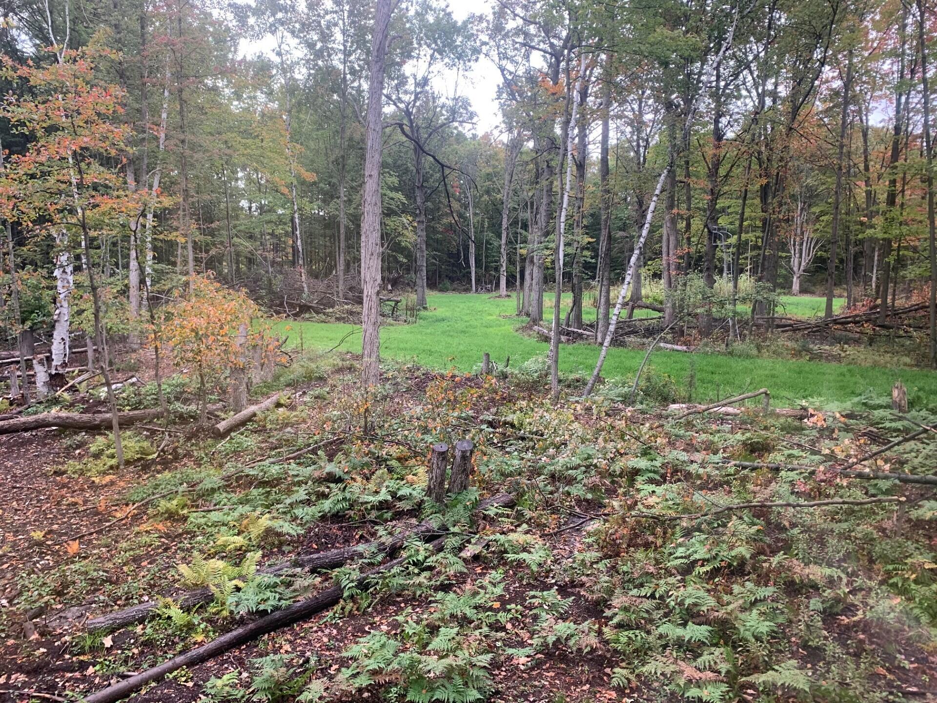 575 South Orr Road Hemlock, MI 48626 - Photo 49 of 50 thumbnail_IMG_5702