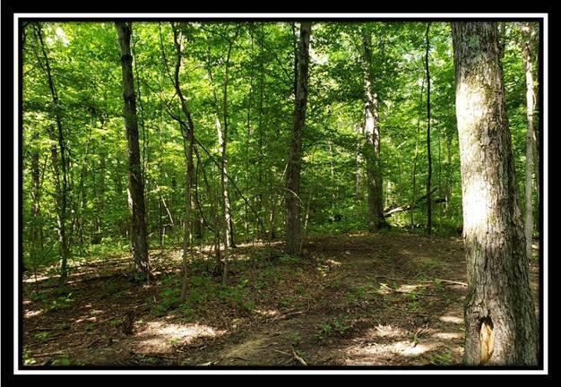 0 Pedigo Ridge Road, Unit TRACT 6) Nelsonville, OH 45764 - Photo 23 of 57 image023