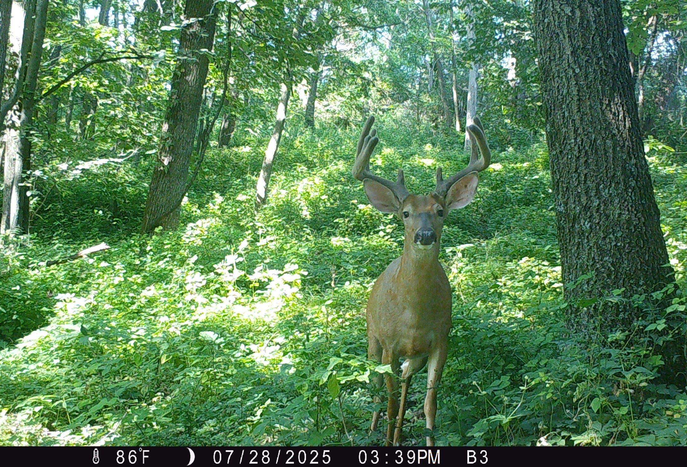 46113 Sand Creek Road Gays Mills, WI 54631 - Photo 16 of 49
