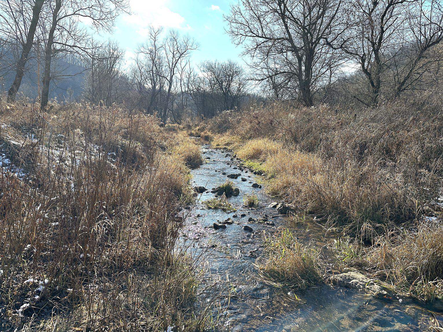 46113 Sand Creek Road Gays Mills, WI 54631 - Photo 18 of 49