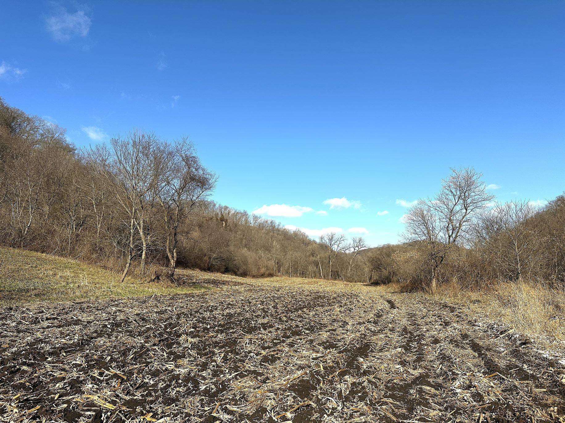 46113 Sand Creek Road Gays Mills, WI 54631 - Photo 20 of 49