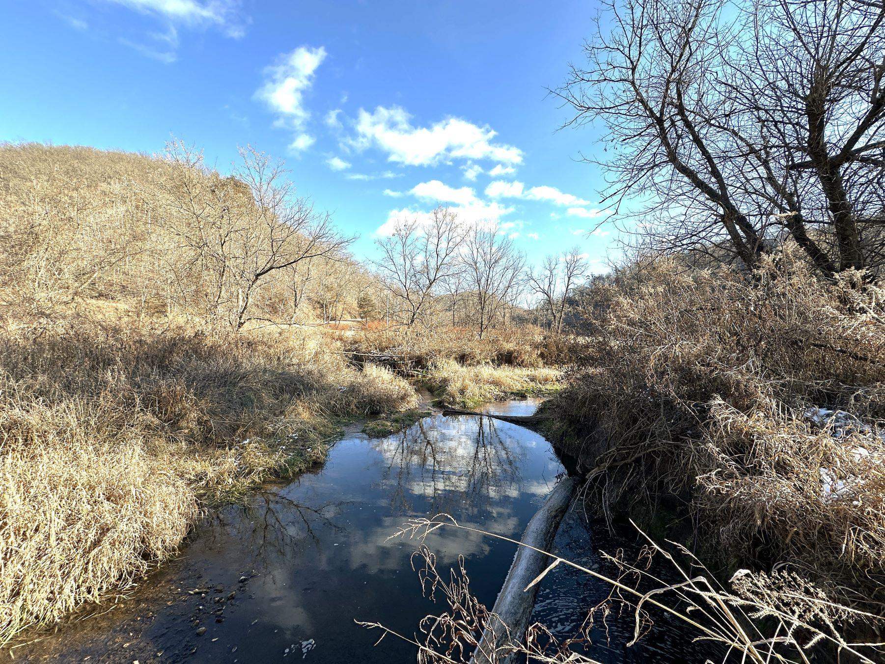 46113 Sand Creek Road Gays Mills, WI 54631 - Photo 22 of 49