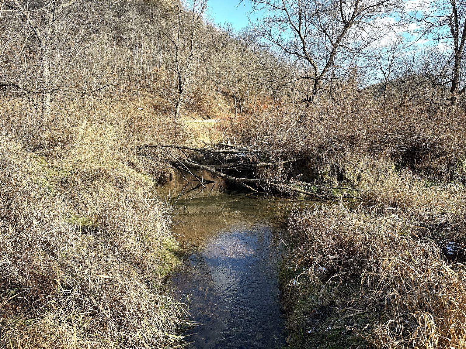 46113 Sand Creek Road Gays Mills, WI 54631 - Photo 23 of 49